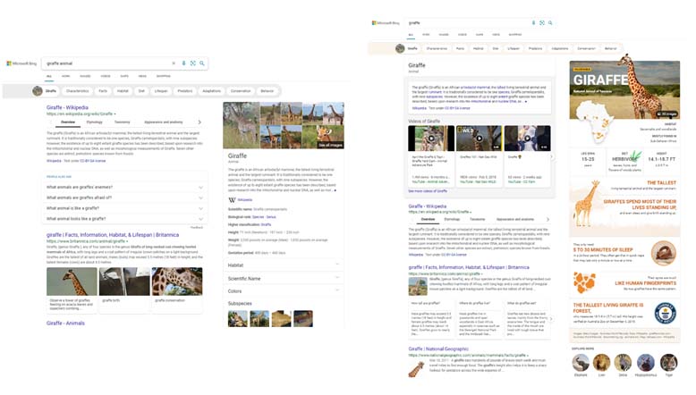 Bing - Infografiken